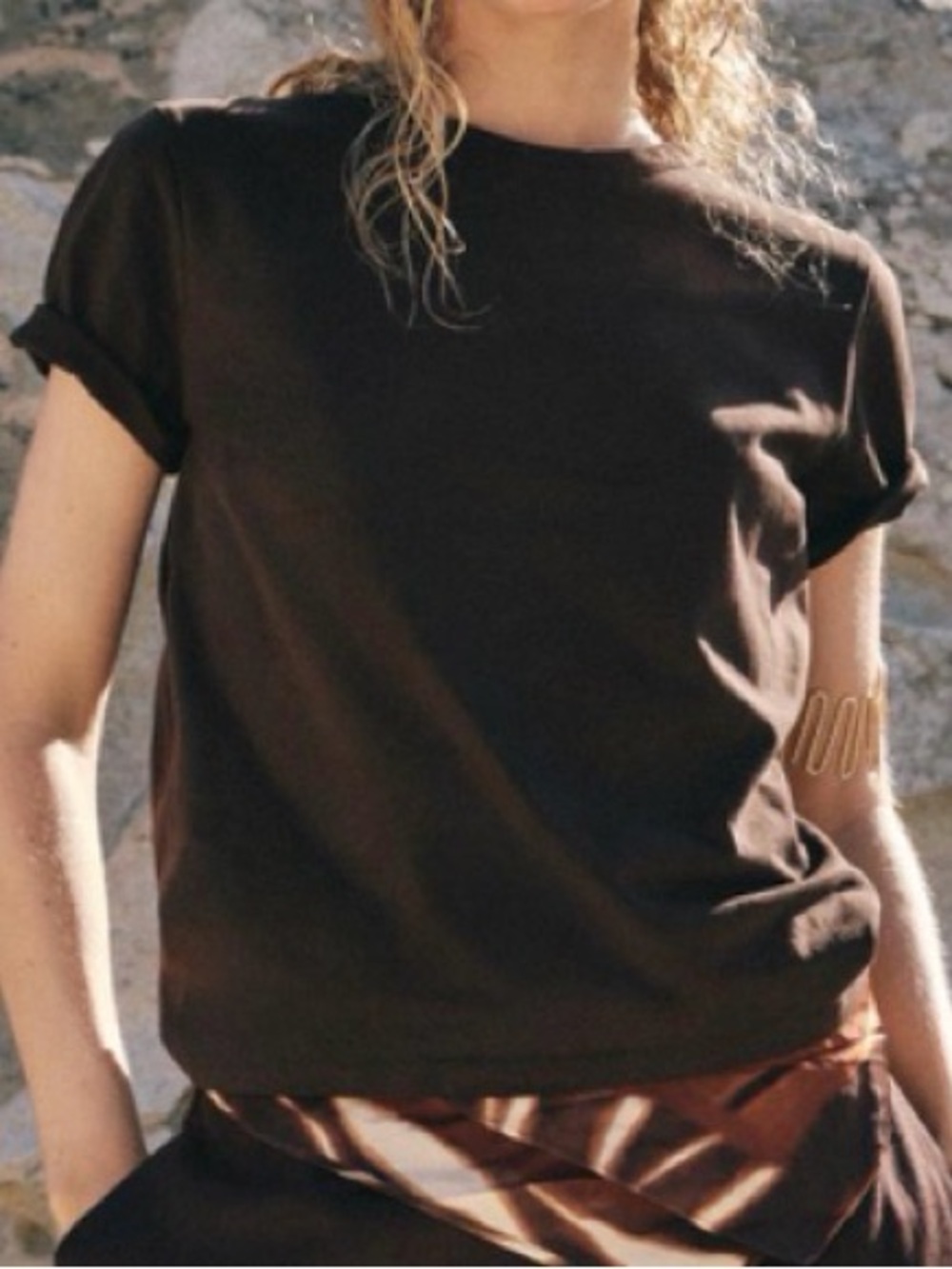 Zara Brown Crewneck Tee
